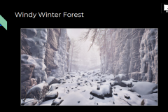 XR_Stage_LA_Virtual_Production_Environments_Windy_Winter_Forest